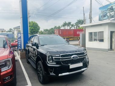 Everest Platinum