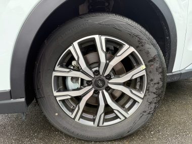lazang xe Ford Territory Trend