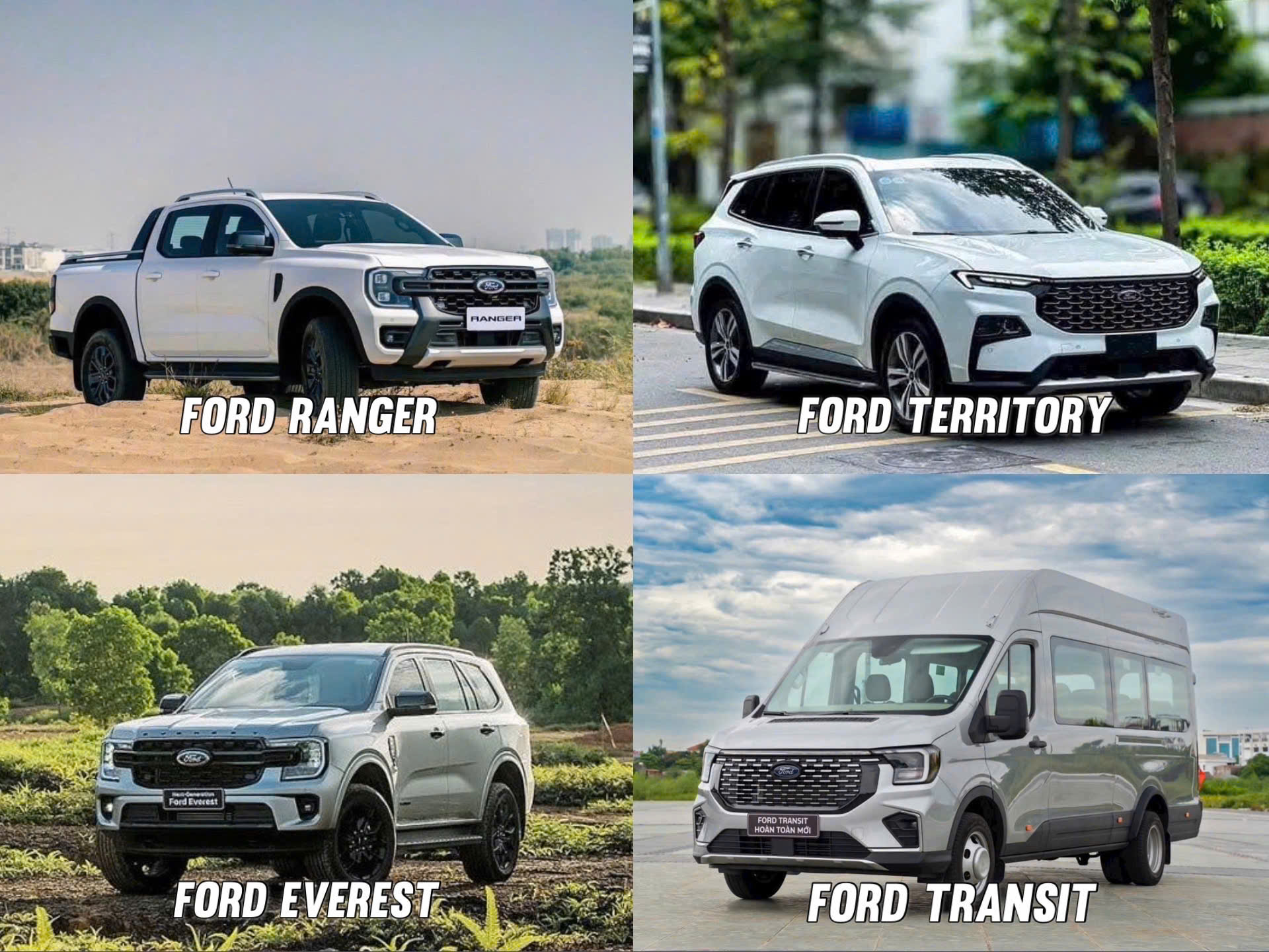 các dòng xe tại Ford Hải Phòng