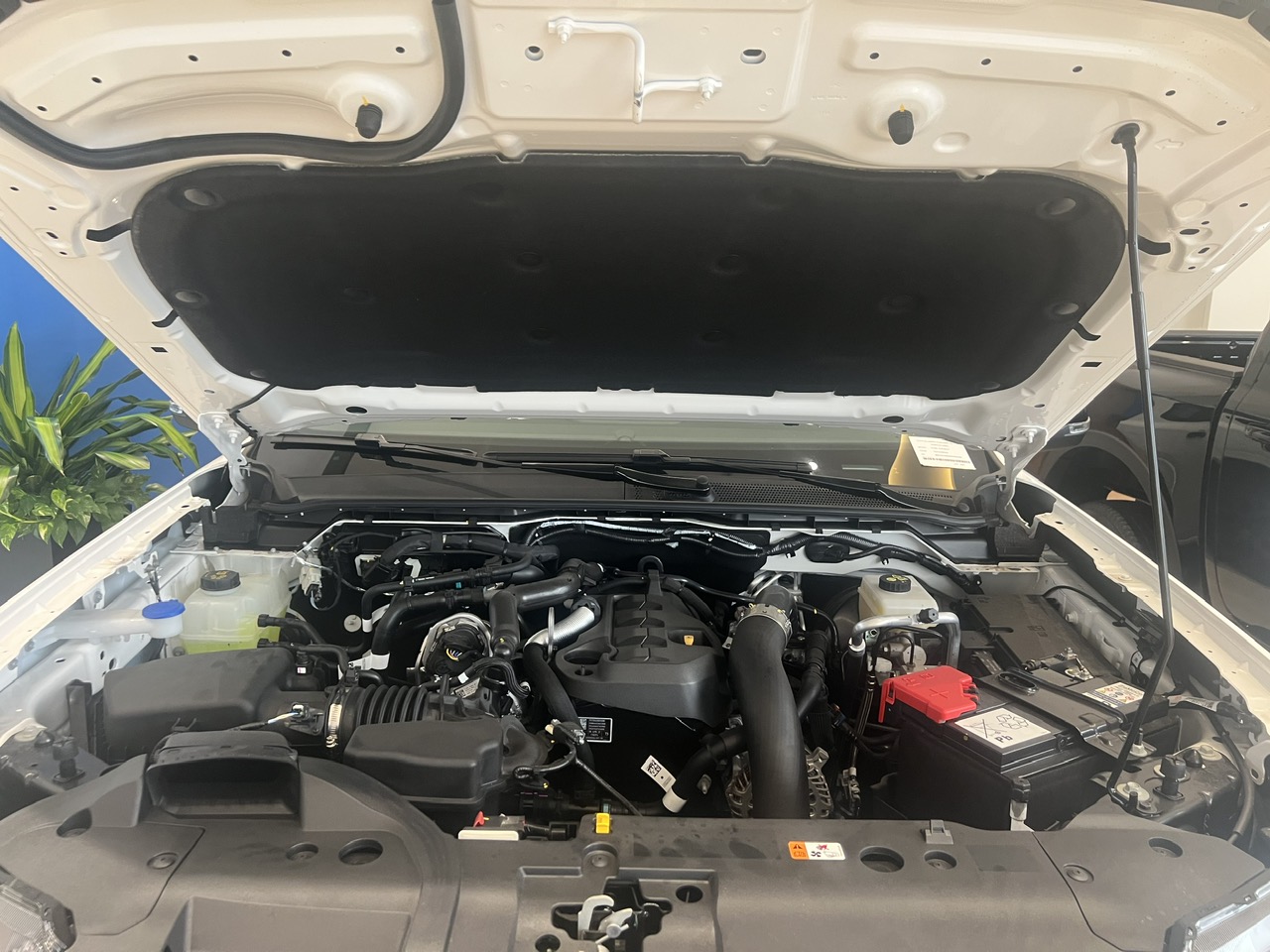 Động cơ xe Ford Everest Sport SE