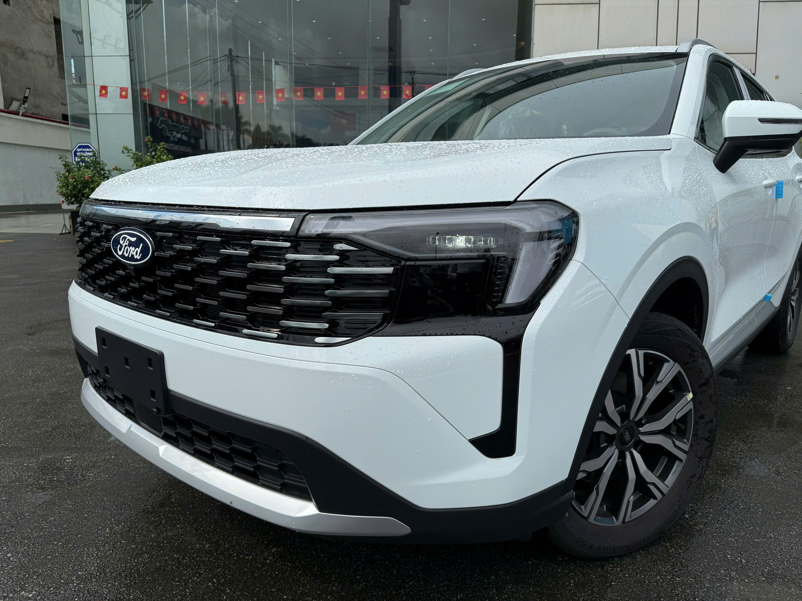 phần đầu xe New Territory Trend